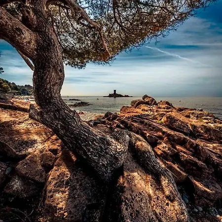 Villa Garden Level For 5 People With Sea View *